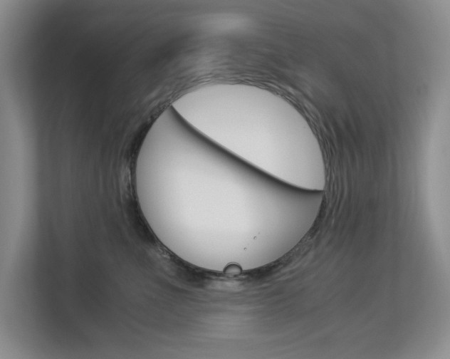 X0000112900523200908211053