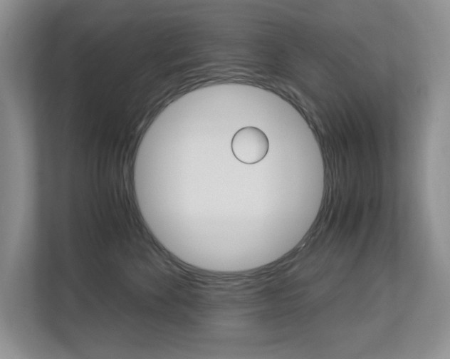 X0000112900524200908211053