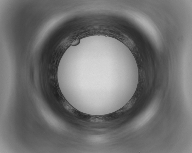 X0000112900526200908211053