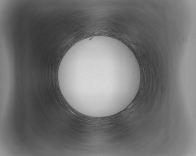 X0000112900528200908211053