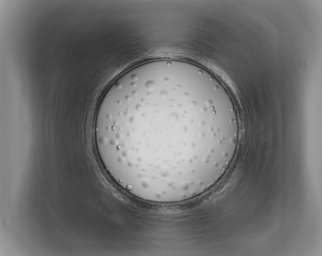 X0000112900529200908211052