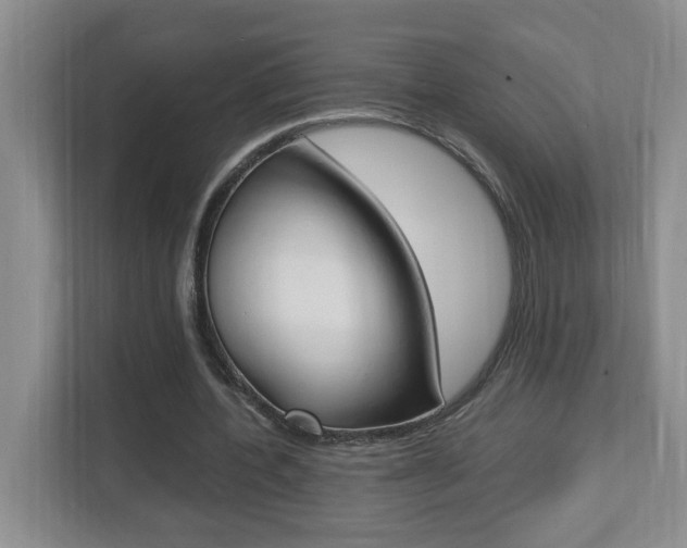 X0000112900532200908211052