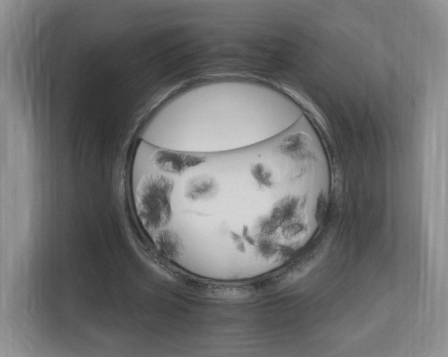 X0000112900533200908211052