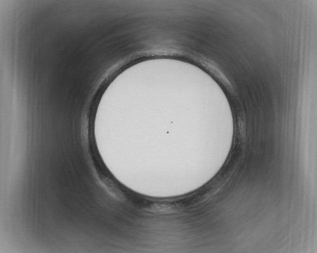 X0000112900534200908211052