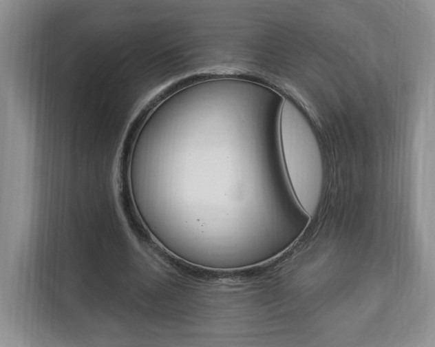 X0000112900536200908211052