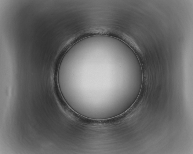 X0000112900538200908211052