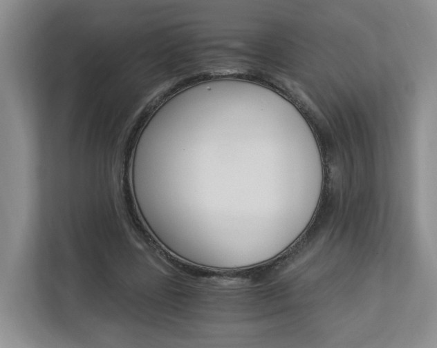 X0000112900539200908211052