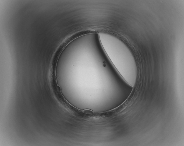X0000112900540200908211052