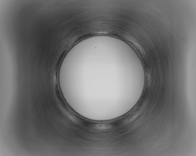 X0000112900541200908211052