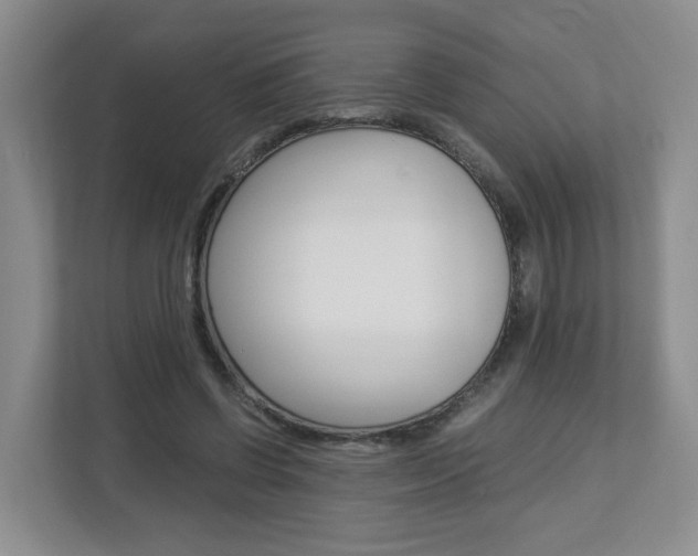 X0000112900542200908211052