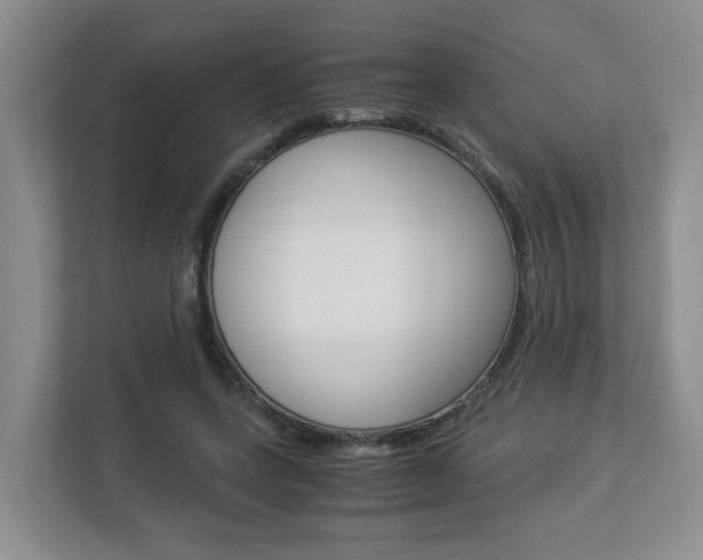 X0000112900543200908211052