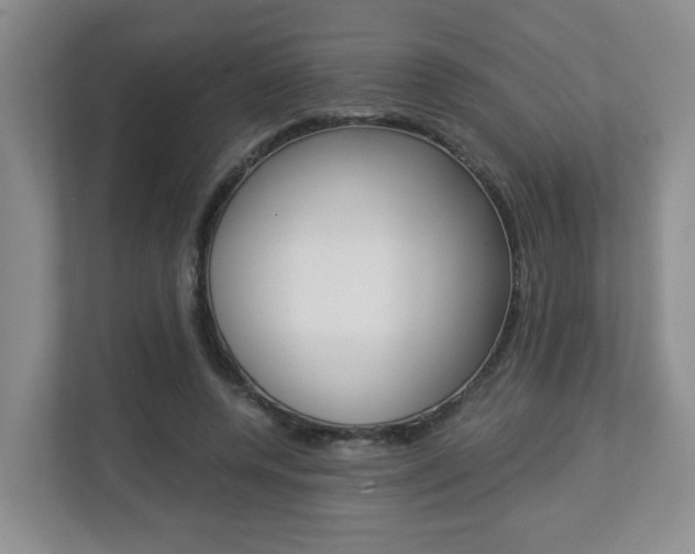 X0000112900544200908211052