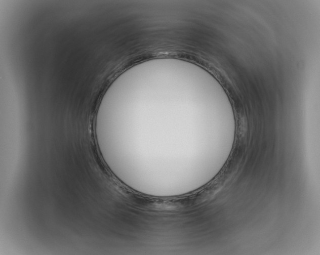 X0000112900545200908211052