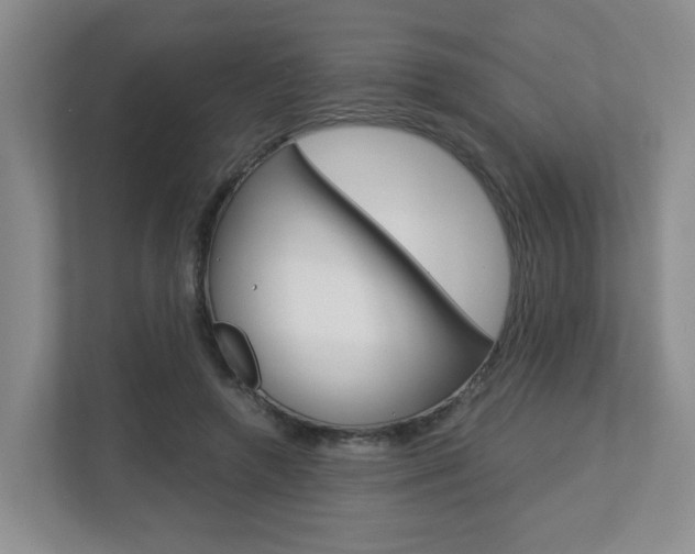 X0000112900546200908211052