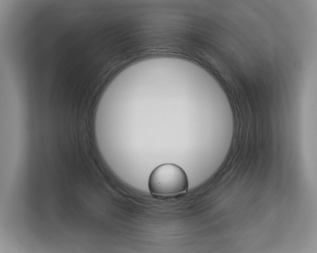X0000112900548200908211052