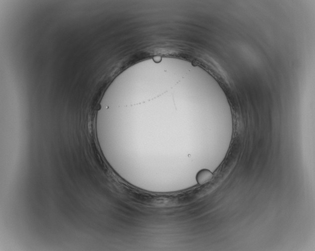 X0000112900549200908211052
