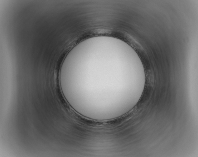 X0000112900550200908211052