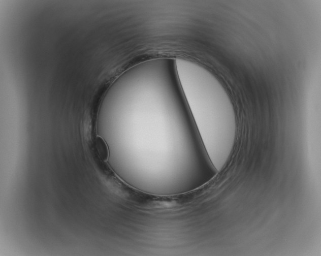 X0000112900552200908211052