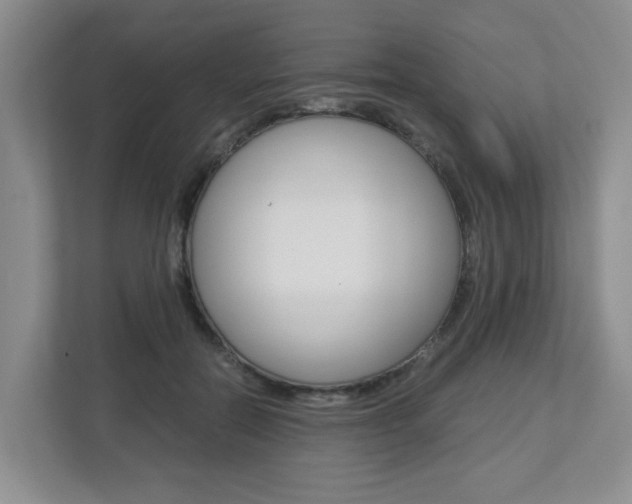 X0000112900554200908211052