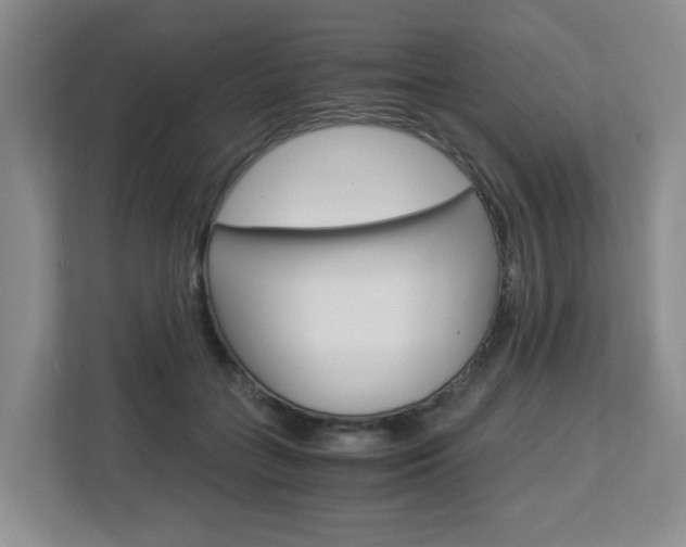 X0000112900555200908211052