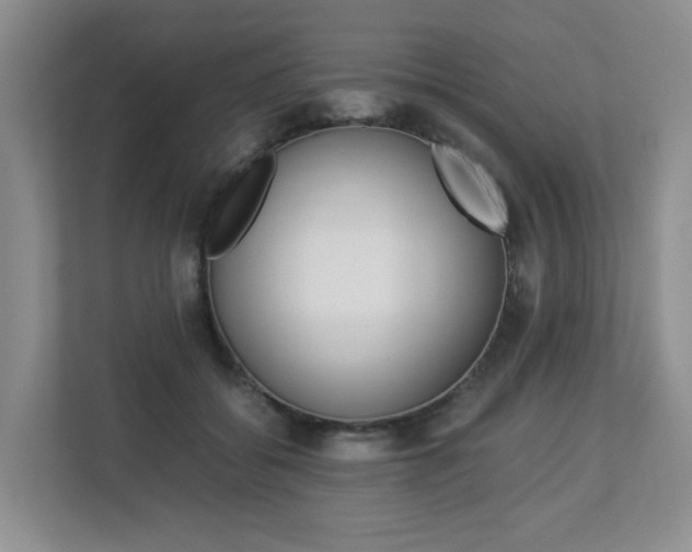 X0000112900556200908211052