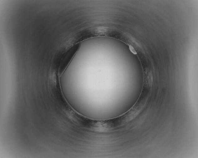 X0000112900562200908211052