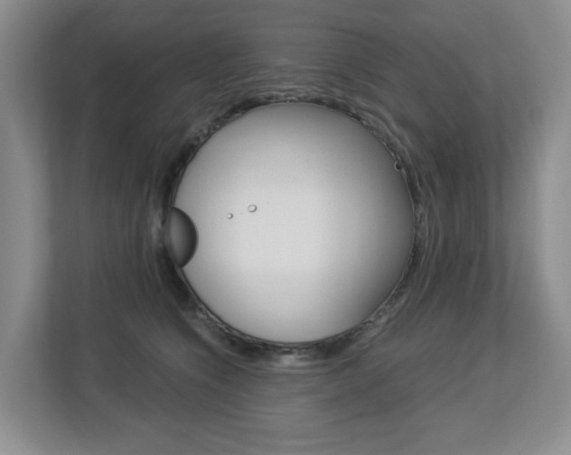 X0000112900564200908211052