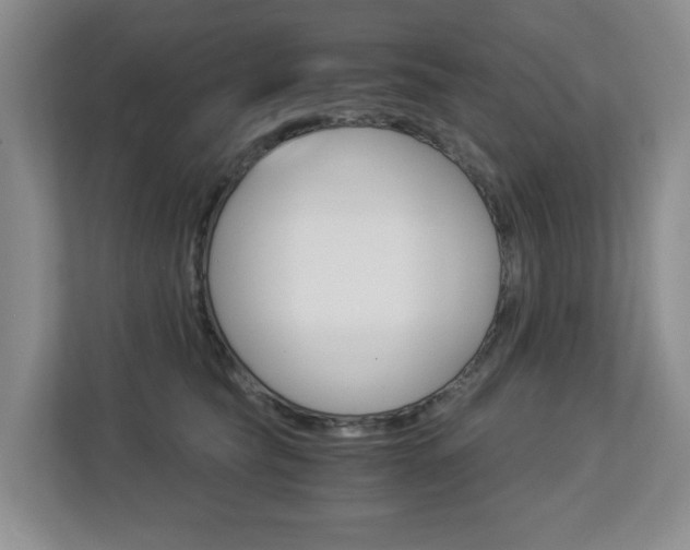X0000112900565200908211052