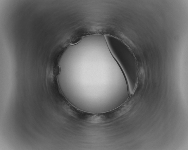 X0000112900566200908211052