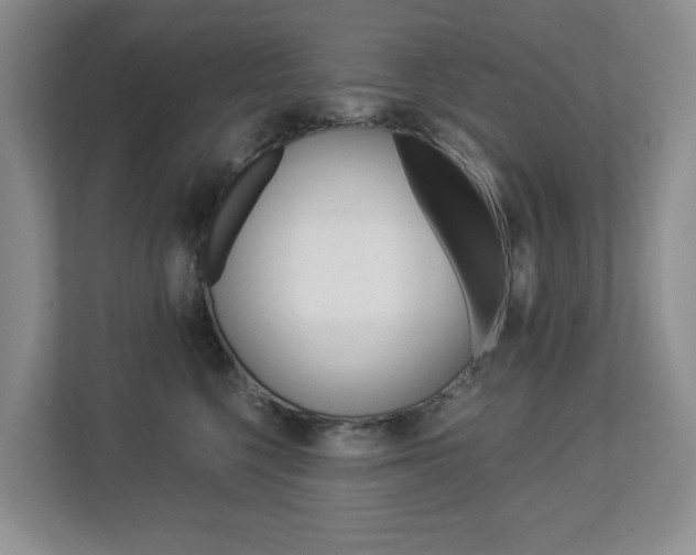 X0000112900568200908211052
