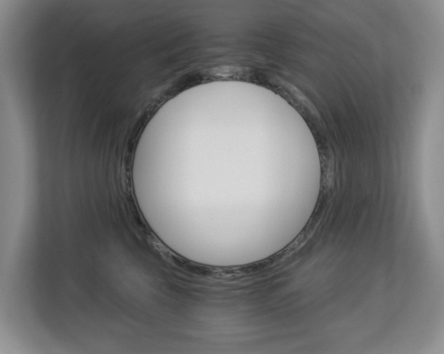 X0000112900569200908211052