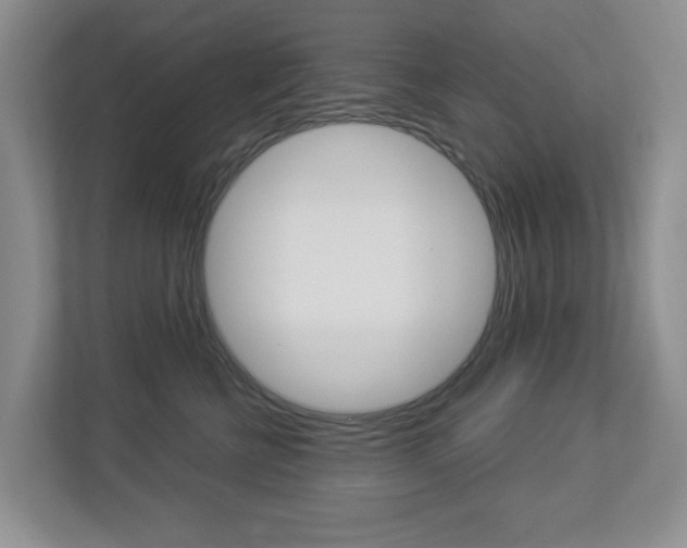 X0000112900570200908211052