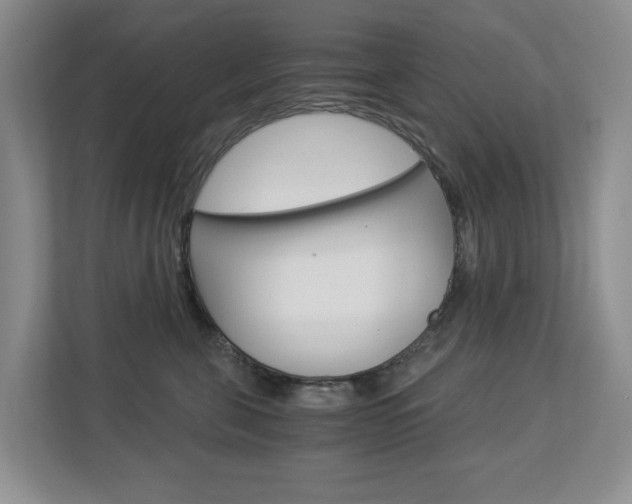 X0000112900571200908211052