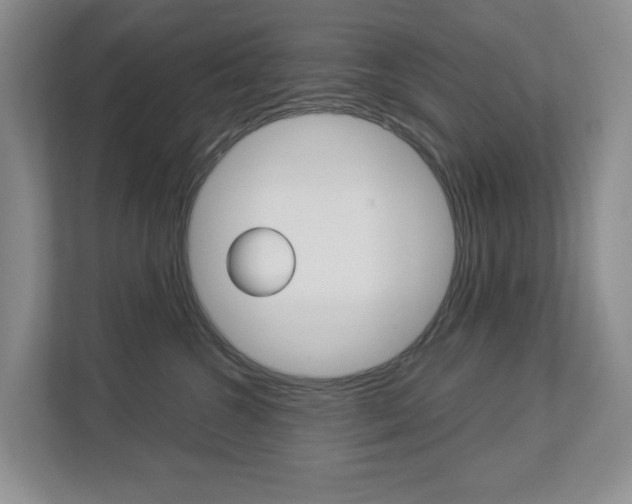 X0000112900572200908211052