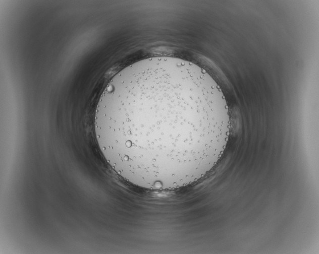 X0000112900573200908211053
