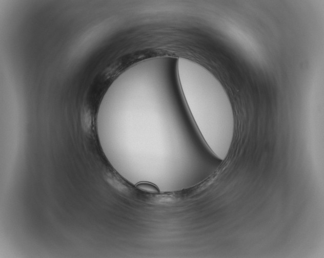 X0000112900574200908211053