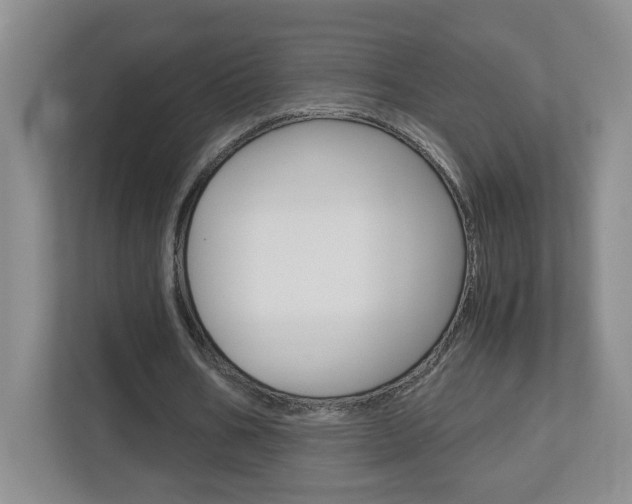 X0000112900578200908211052