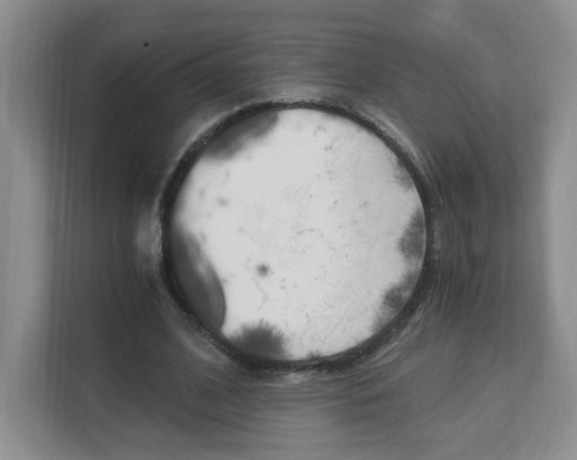 X0000112900584200908211052