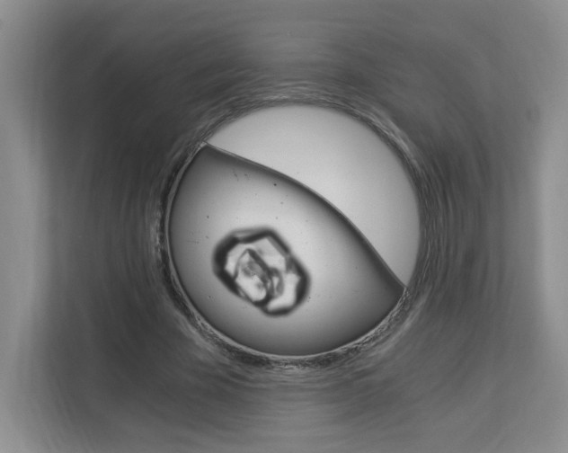 X0000112900585200908211052