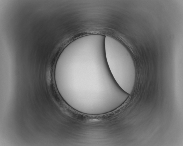 X0000112900586200908211052
