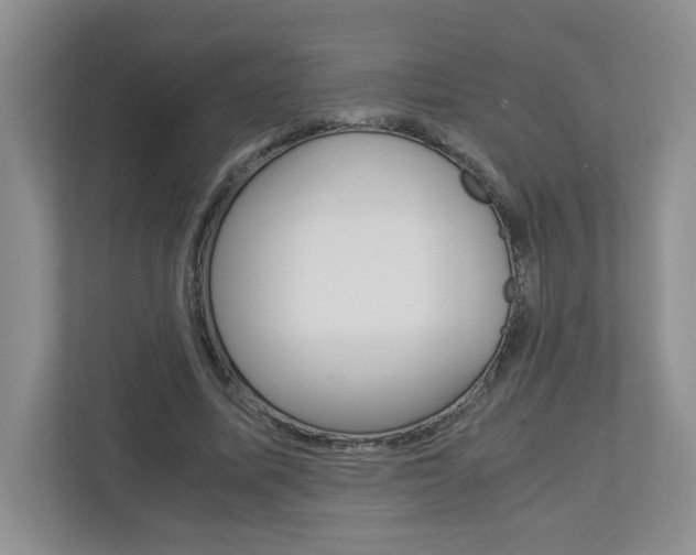 X0000112900587200908211052