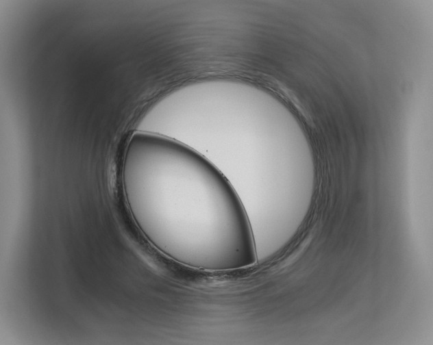 X0000112900589200908211052