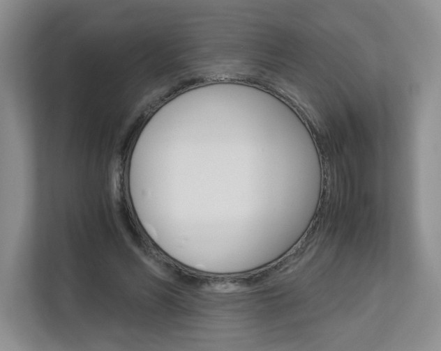 X0000112900590200908211052