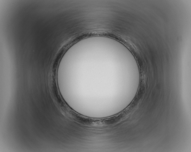 X0000112900591200908211052