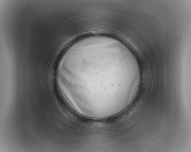 X0000112900592200908211052