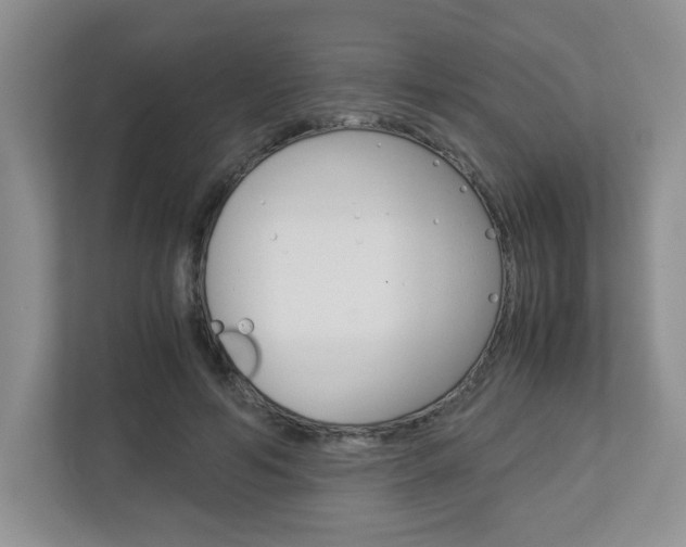 X0000112900594200908211052