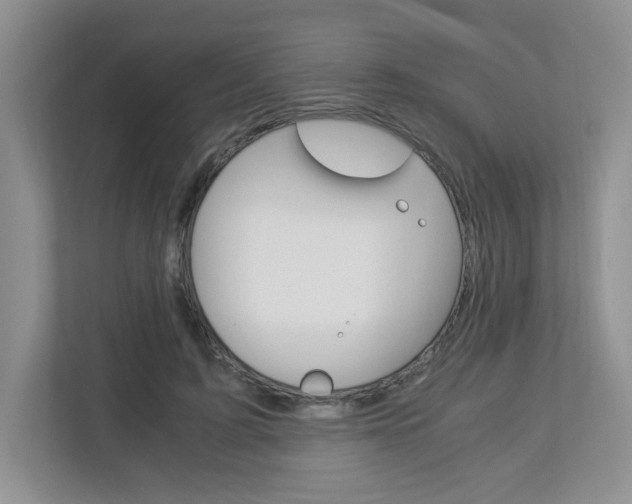 X0000112900595200908211052