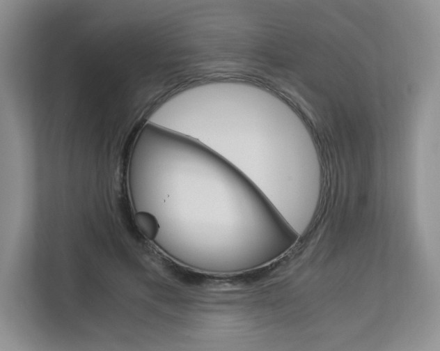 X0000112900597200908211052