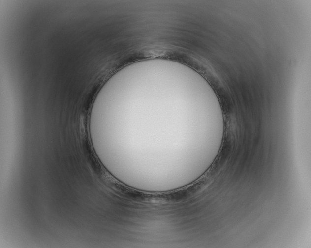 X0000112900598200908211052