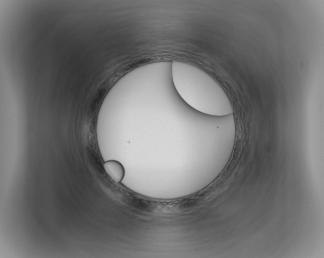 X0000112900599200908211052